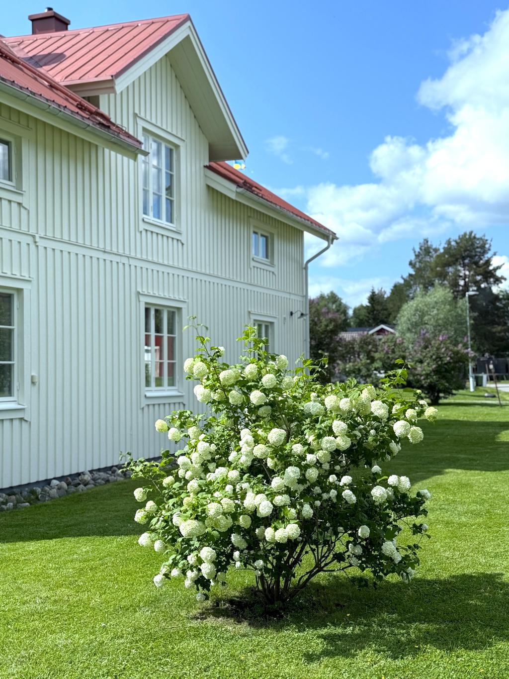 Säljarens privata sommarbild