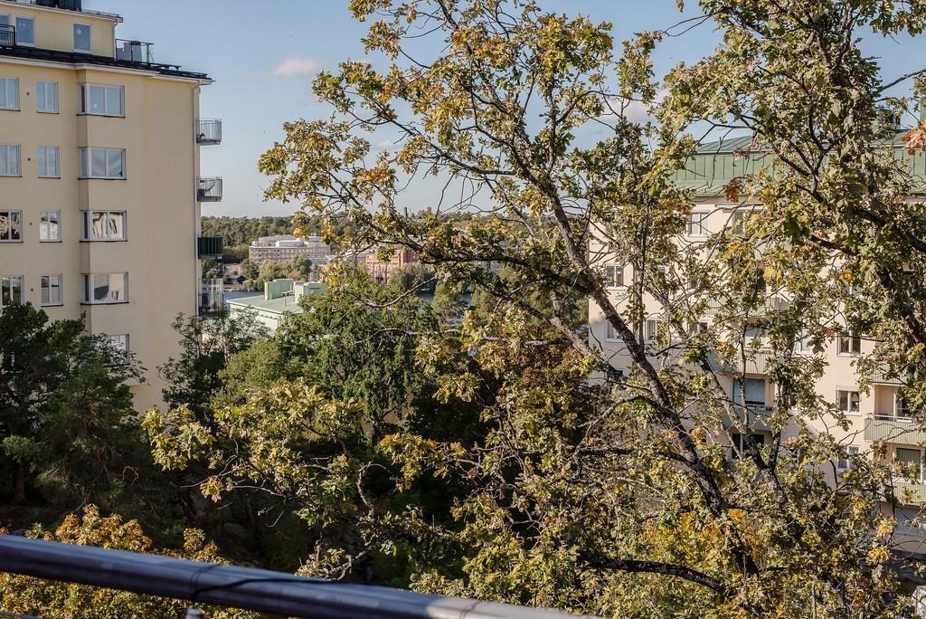 Föreningens gemensamma takterrass