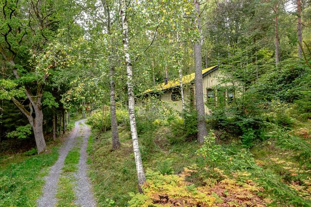 Huvudhus
