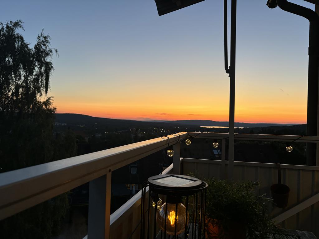 Sommarkvälls hälsning från säljaren