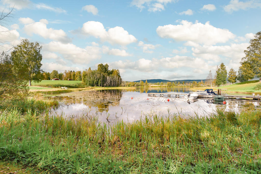 Tjärnen Björstjärnen