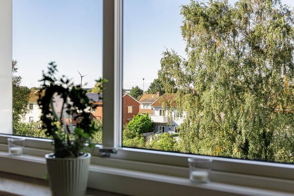 Fint ljusinsläpp och utsikt över den grönskande gården.