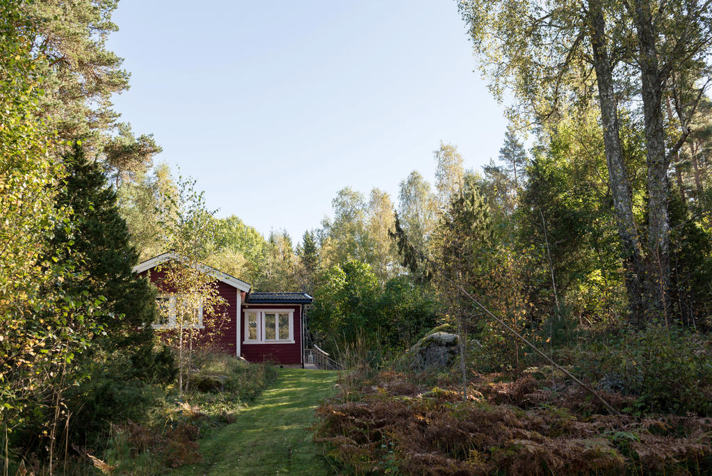 Del av trädgård.