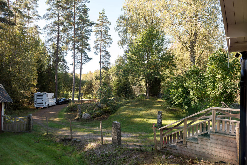 Del av trädgård.