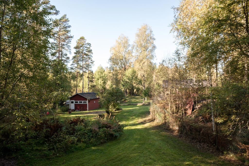 Del av trädgård.
