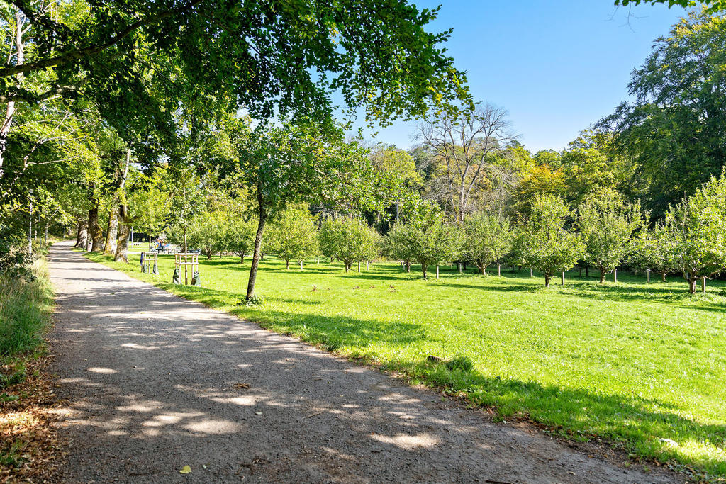 I Billdals park njuter du av vacker natur