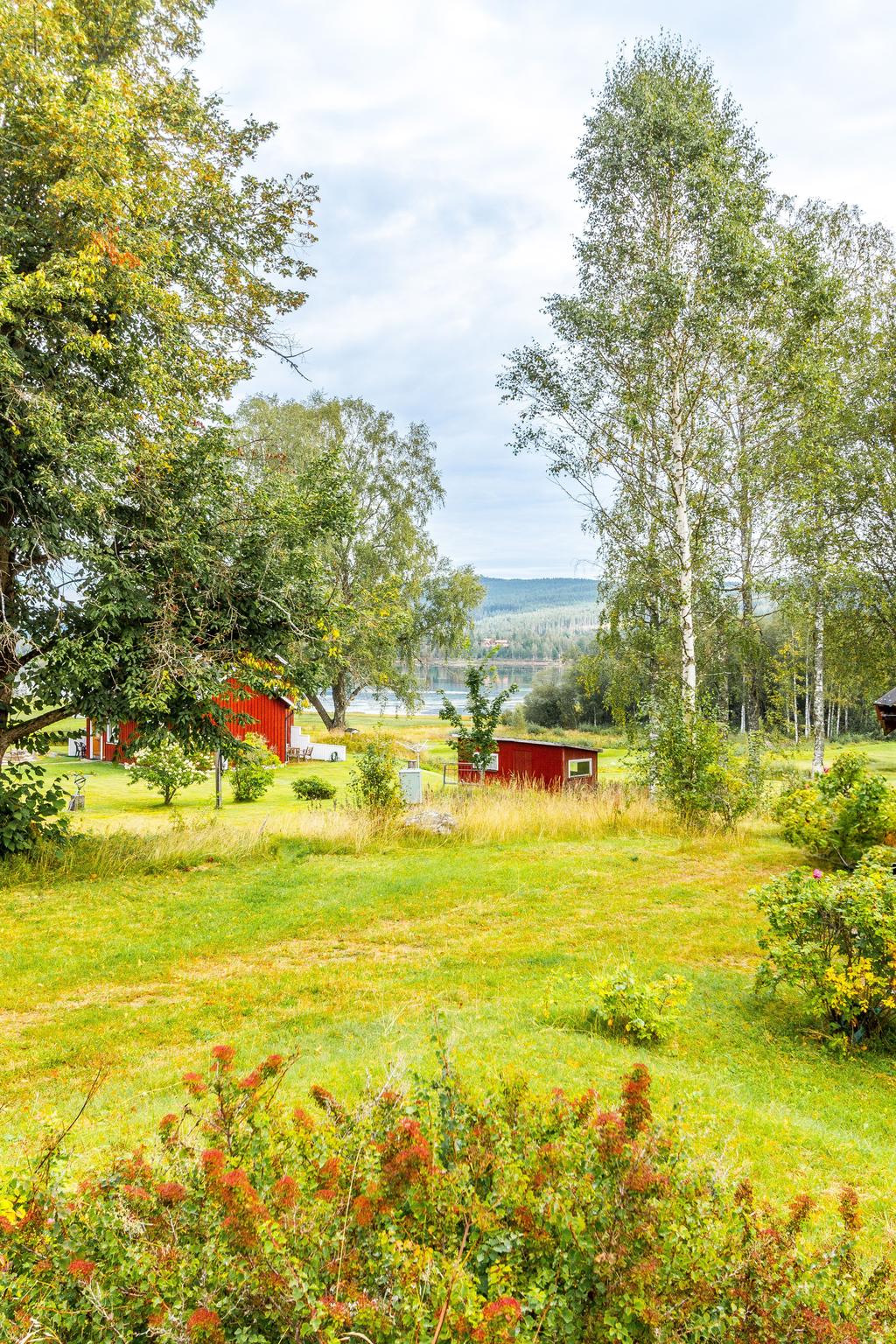 Utsikt mot sjön