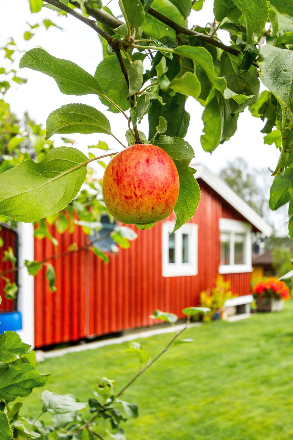 Detaljbild