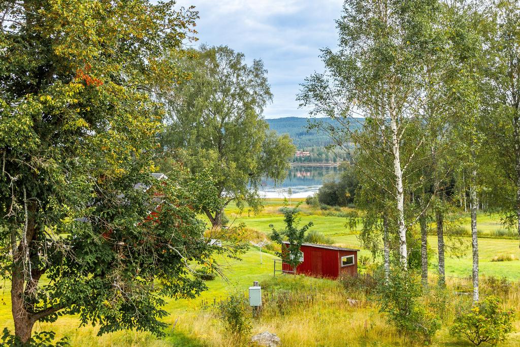 Utsikt mot sjön
