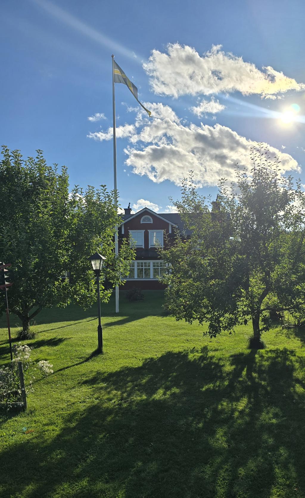 Säljarens sommarbild