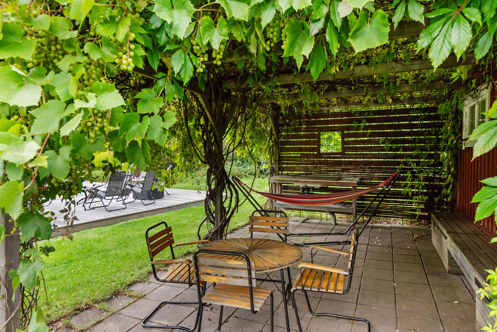 Underbar uteplats vid poolen med vindruvor