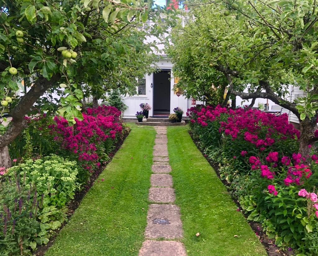 Underbar trädgård med varierande blomster utifrån årstid