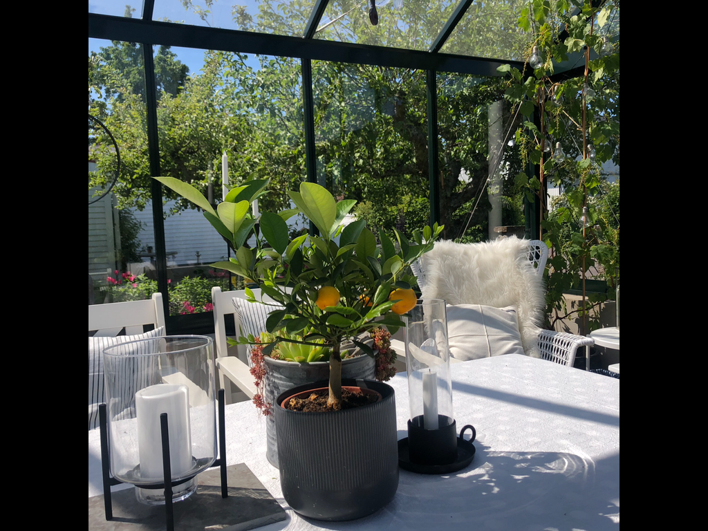 Vackert i glashuset