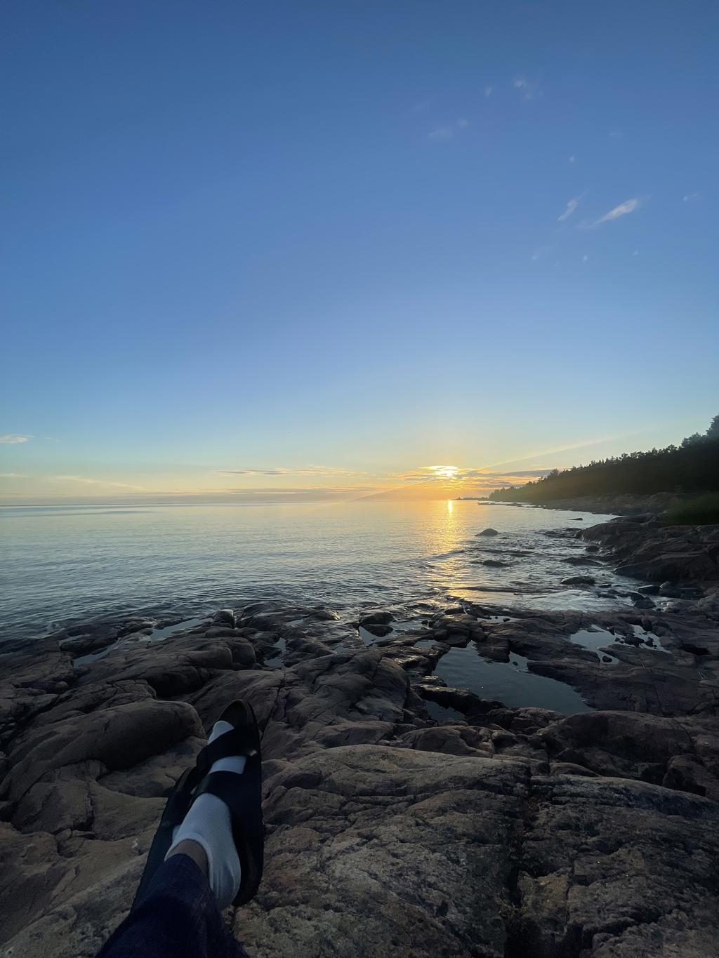 Säljarens egna bild