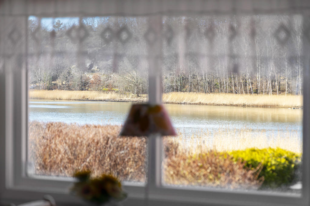 Magisk utsikt från matplatsen