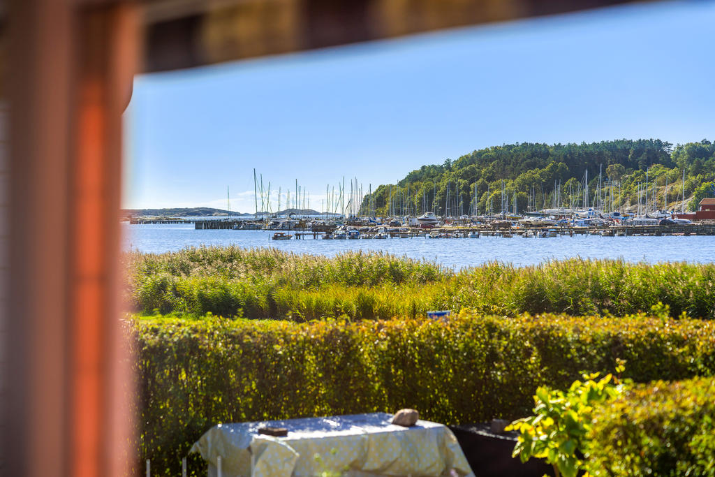 Utsikt inifrån stugan mot Bjölahamnen
