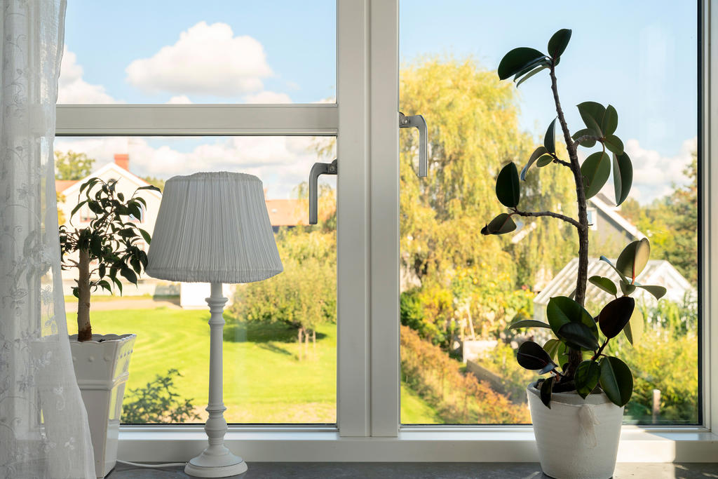Rofyllt med utsikt mot grönskan och trädgården