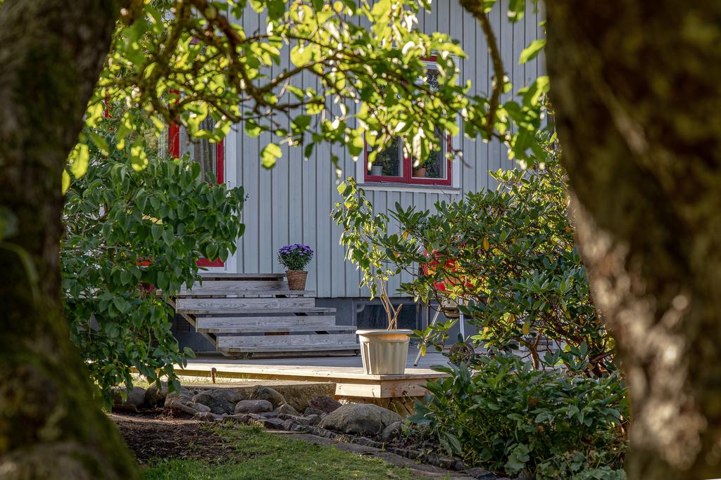 Vyn från trädgården mot altandäcket