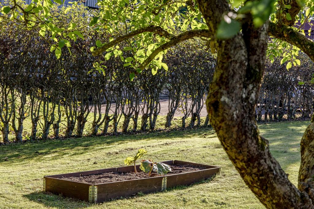Här finns möjlighet till odling för den som önskar det