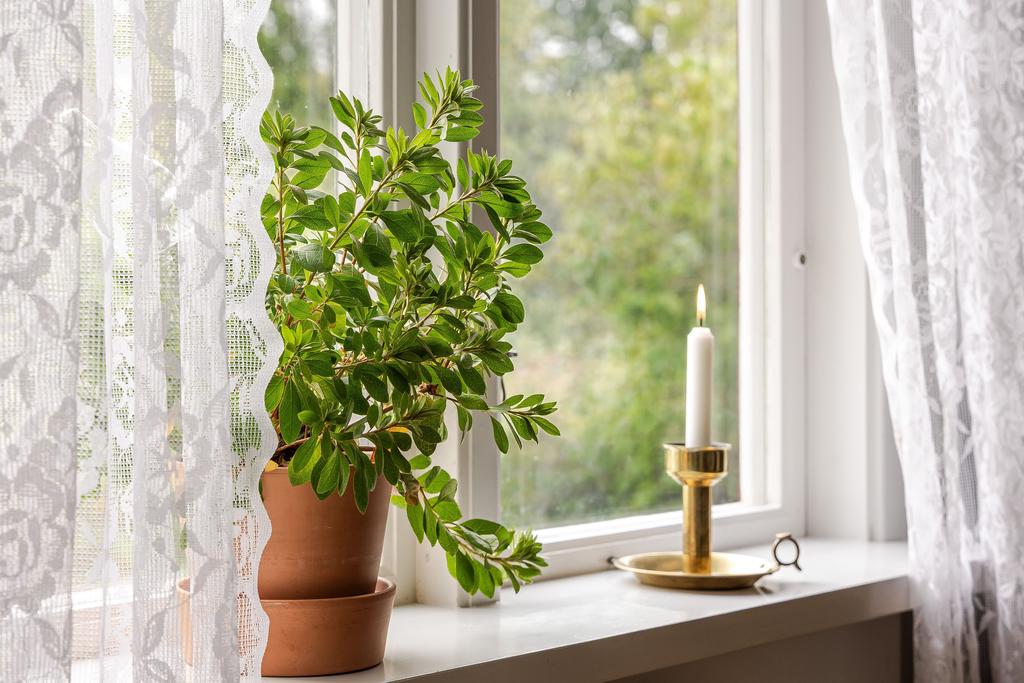 Fina detaljer i fönstret