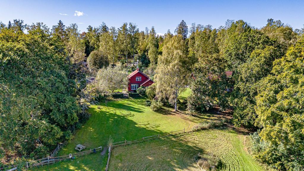 Trädgårdstomt runt huset som är helt skyddad av grönskande träd