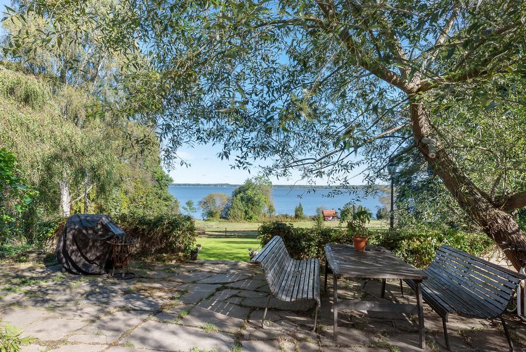 Uteplats i skugga av pilträdet
