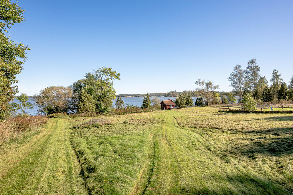 Över ängen ner till bastun vid sjön