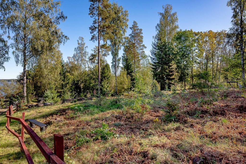 Del av tomten ovanför huset