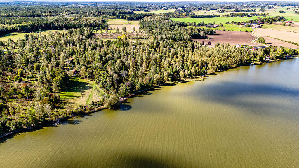 Underbart landskap i omgivningen med en blandning av skog och åkermark