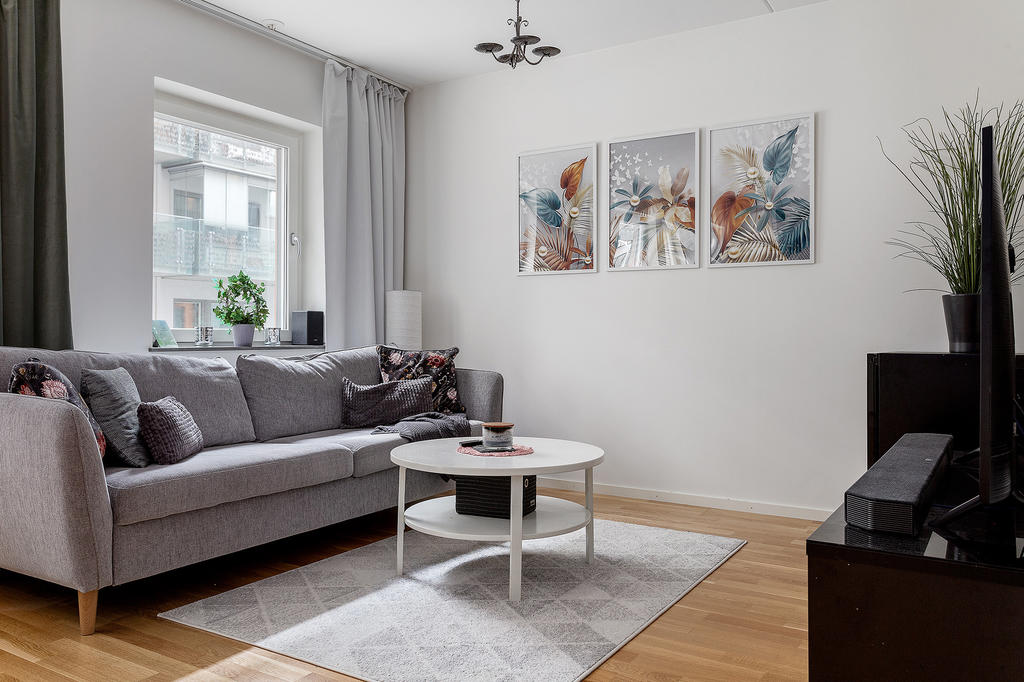 Lättmöblerad tv -hörna