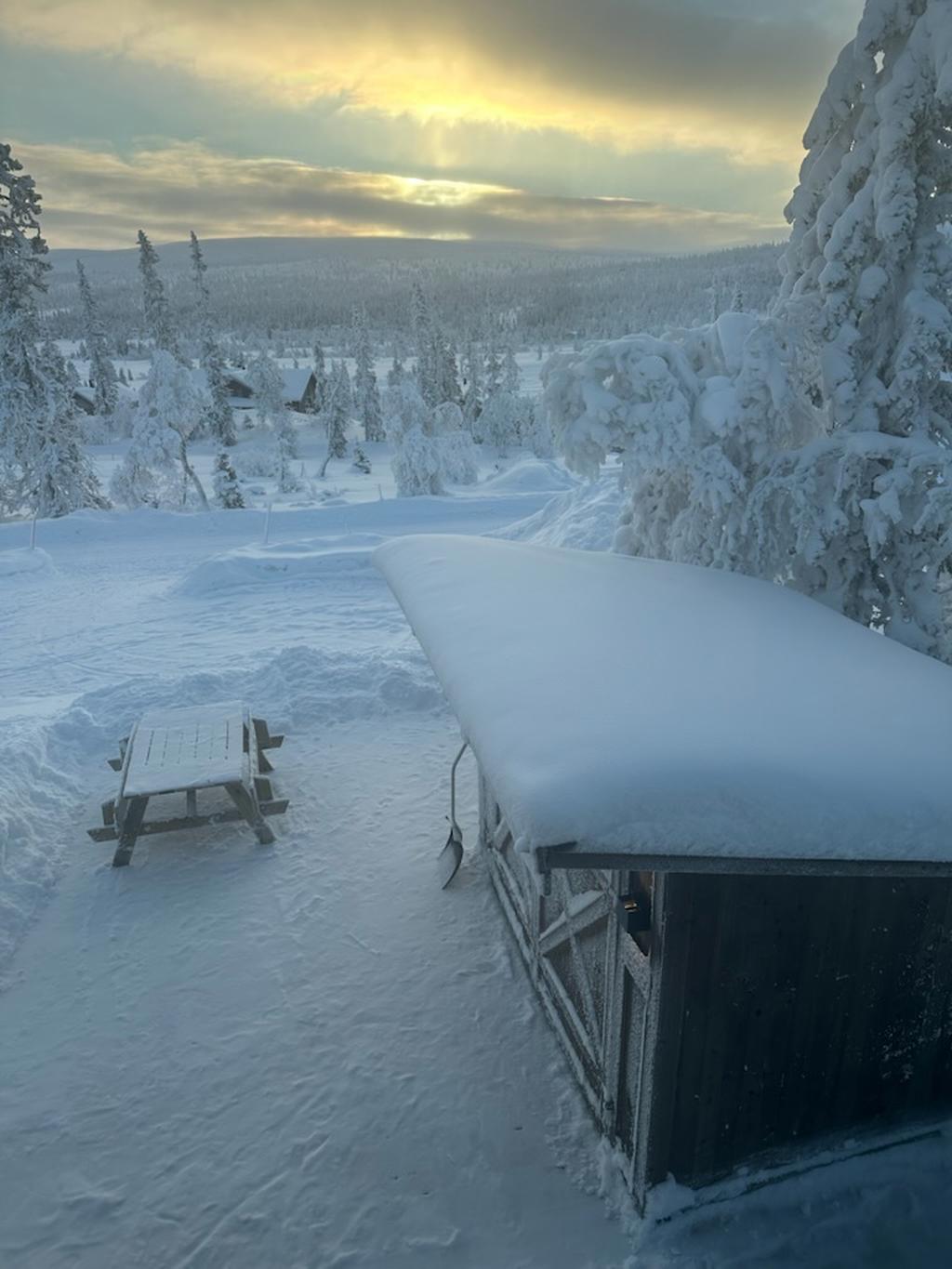 Säljarens egna bild