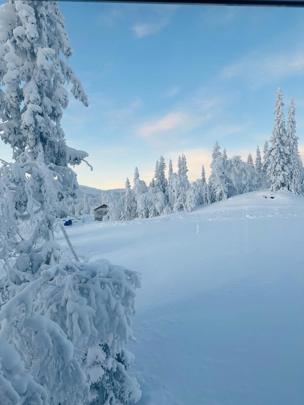 Säljarens egna bild