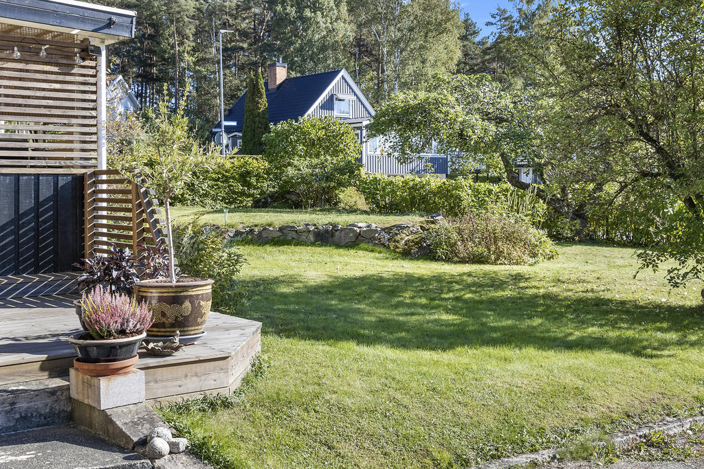 Grönskande trädgård