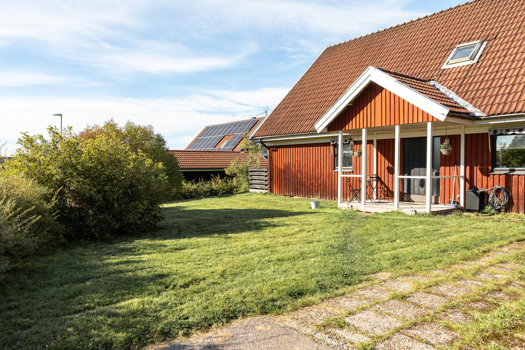 Trädgård