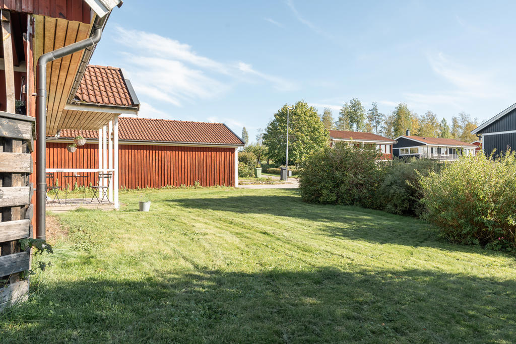Trädgård
