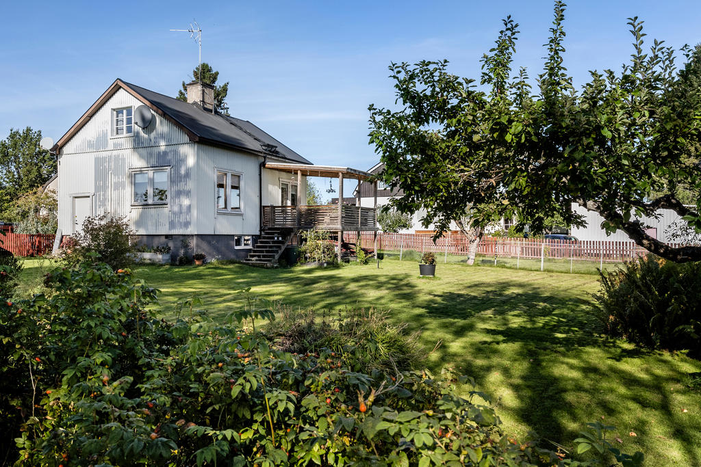 Trädgård