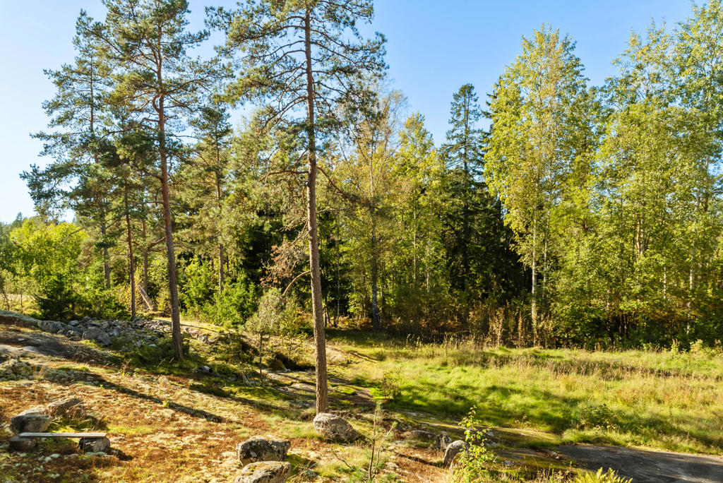 Vy över tomterna