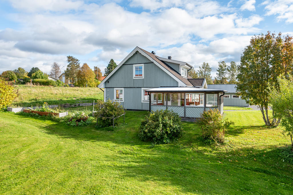 Bärbuskar, rabarber och trädgårdsland i trädgården. 