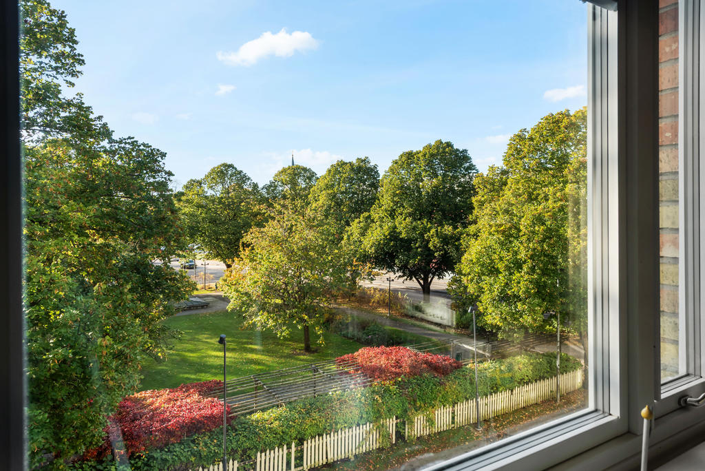 Utsikt från lägenheten