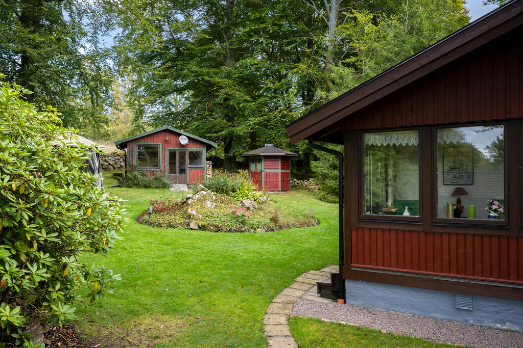 Vy över trädgården