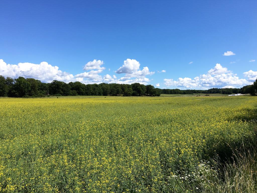 Eldgarnsö naturreservat