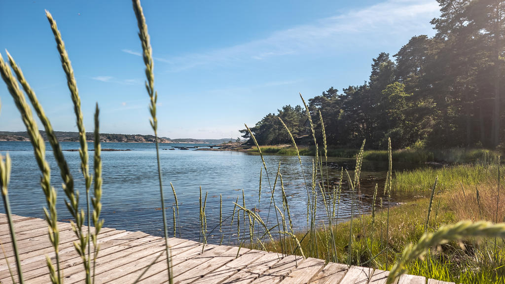 Omgivning: Rossö