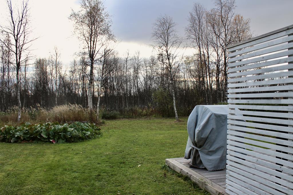 Bakgård mot skogsparti 