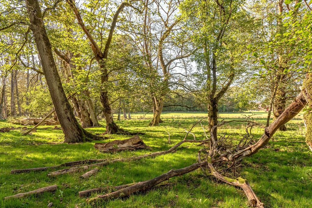 Natursköna Nävekärr