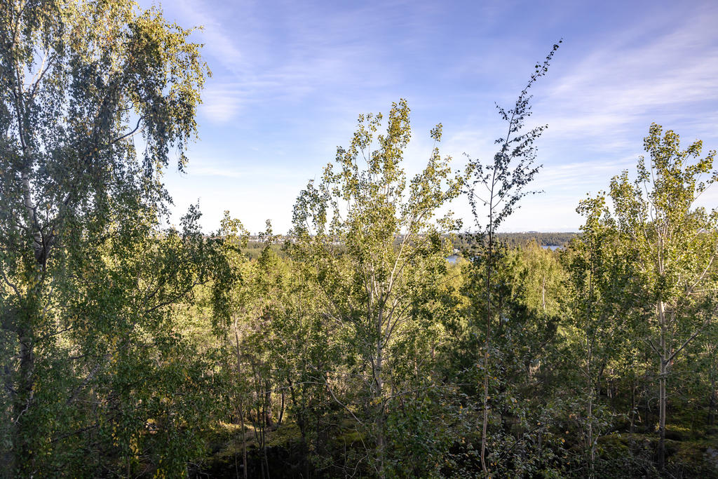 Utsikt från vardagsrum