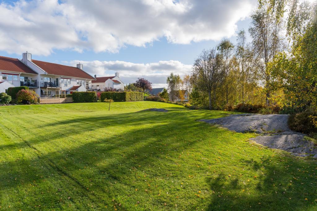 Härligt grönområde 