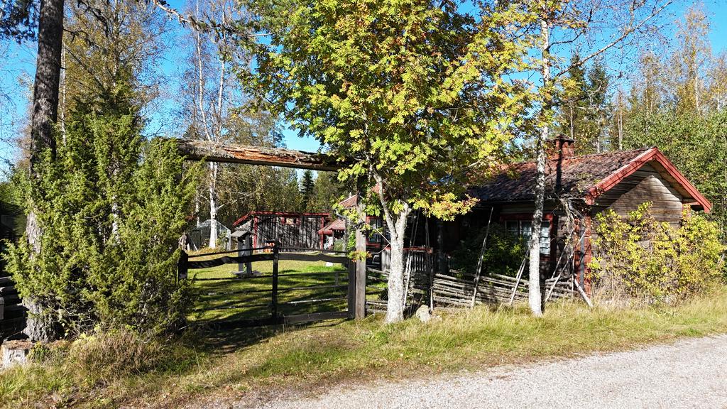 Charmig gårdsmiljö omgiven av skog och natur.