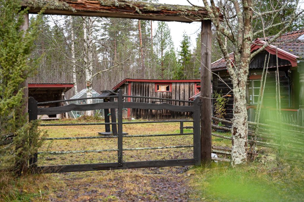 Charmig gårdsmiljö omgiven av skog och natur.