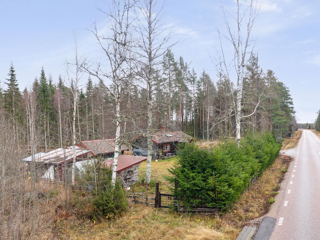 Hörntomt med skogen som närmaste granne, ostört och naturnära.