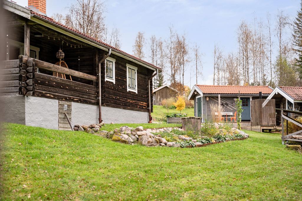 Under 2024 anlades en ny rabatt med bevattning via dagvattenavrinning.